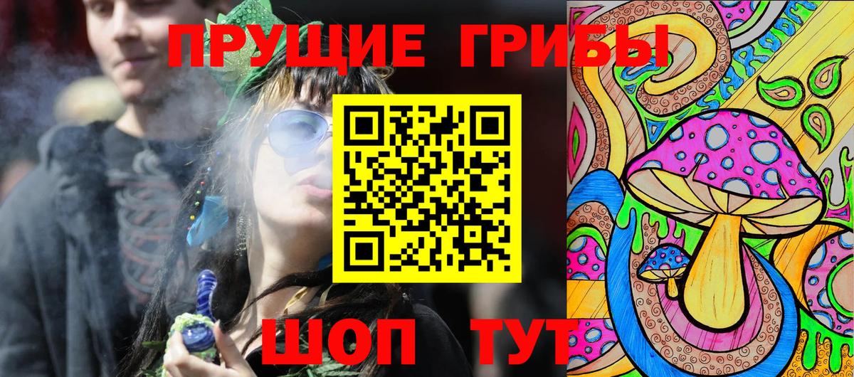 Галлюциногенные грибы Psilocybe  Вход с VPN  Михайловск 